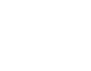 Tiger Holding logo